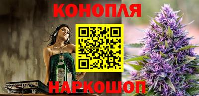 тгк Белореченск