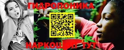 ГАЛЛЮЦИНОГЕННЫЕ ГРИБЫ Бердск