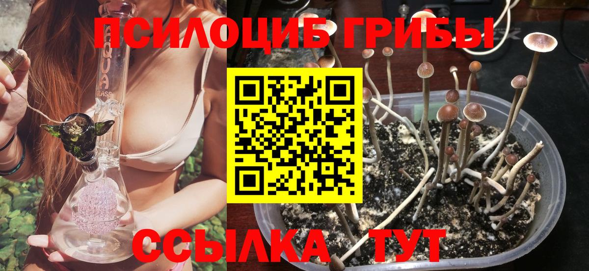 Галлюциногенные грибы прущие грибы Отрадный