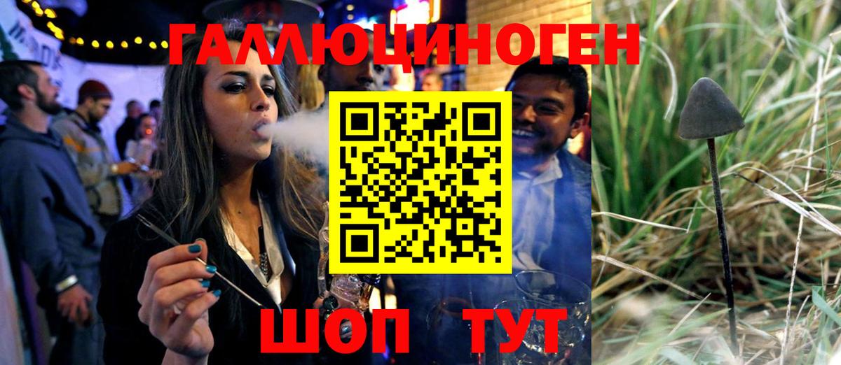 где найти   Псилоцибиновые грибы Psilocybine cubensis  Вход с VPN  Отрадный 